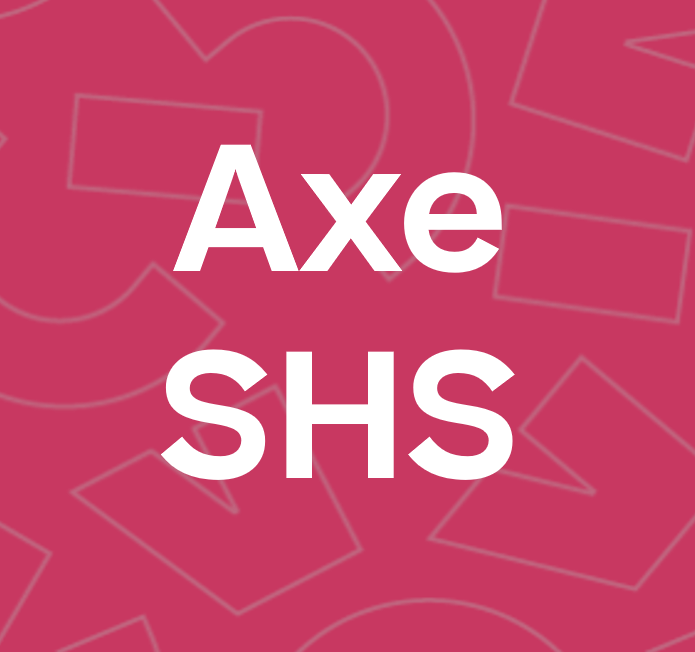 Sixième séance du séminaire général de l'axe SHS